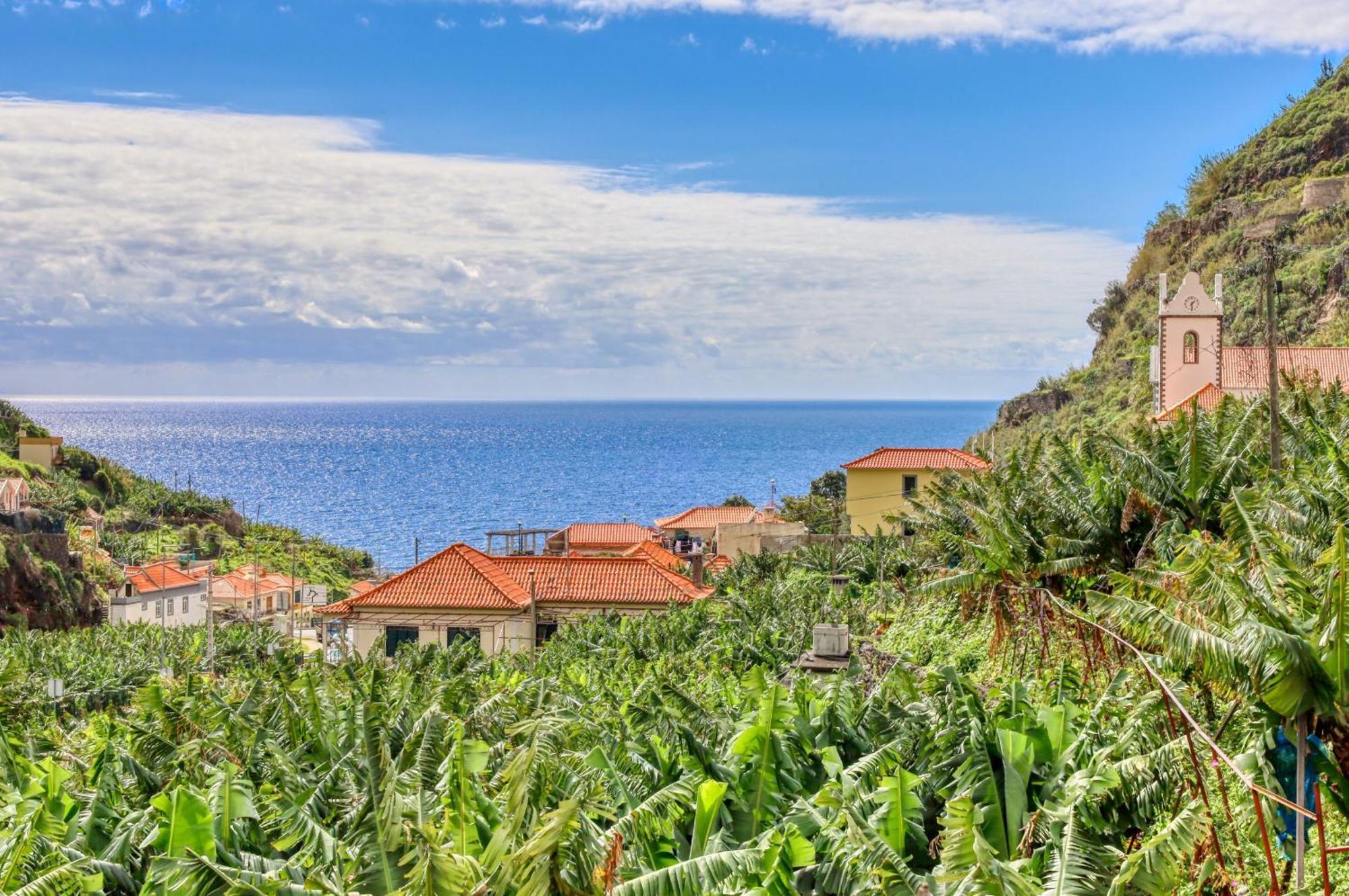 Casa Da Praia, A Home In Madeira Ribeira Brava Eksteriør bilde